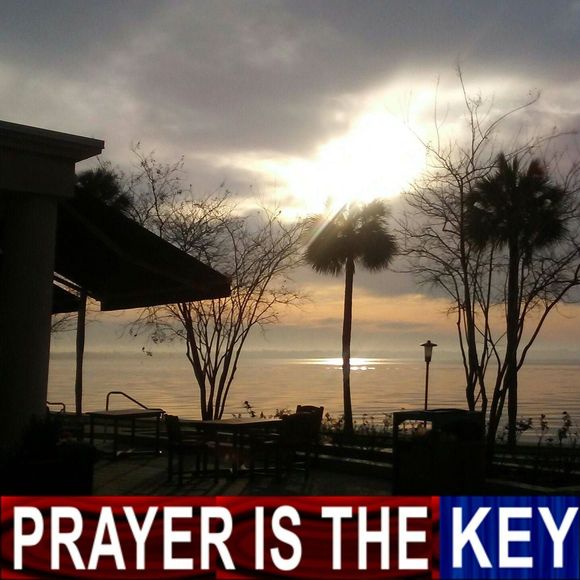 Meet your Posher, Ivory - Picture 1 of 1